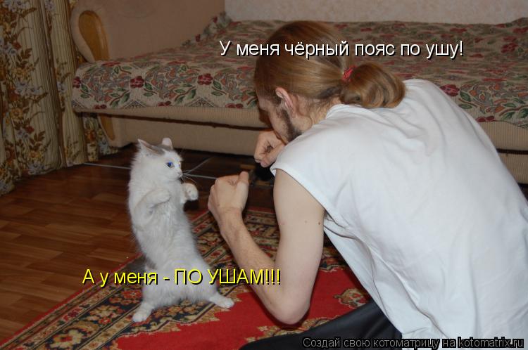 У меня чёрный пояс по ушу! А у меня - ПО УШАМ!!!... Котоматрица: У меня чёрный пояс по ушу! А у меня - ПО УШАМ!!!