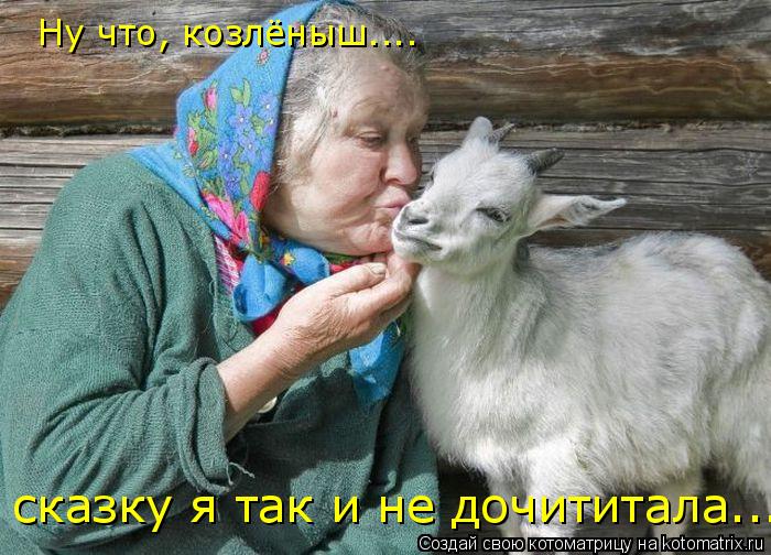 Ну что, козлёныш.... сказку я так и не дочититала....... Котоматрица: Ну что, козлёныш.... сказку я так и не дочититала....