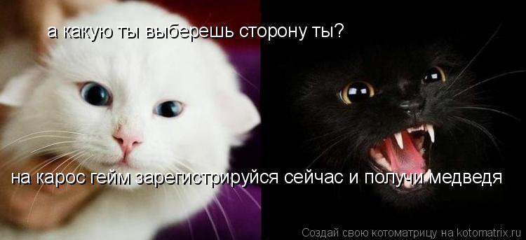а какую ты выберешь сторону ты? на карос гейм зарегистрируйся сейчас и получи медведя... Котоматрица: а какую ты выберешь сторону ты? на карос гейм зарегистрируйся сейчас и получи медведя