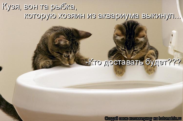 Кузя, вон та рыбка, которую хозяин из аквариума выкинул... -Кто доставать будет???... Котоматрица: Кузя, вон та рыбка, которую хозяин из аквариума выкинул... -Кто доставать будет???