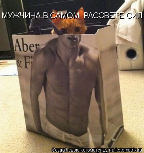 МУЖЧИНА В САМОМ РАССВЕТЕ СИЛ... Котоматрица: МУЖЧИНА В САМОМ РАССВЕТЕ СИЛ