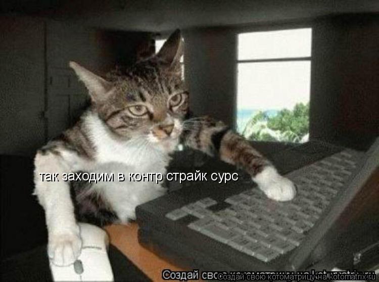 так заходим в контр страйк сурс... Котоматрица: так заходим в контр страйк сурс