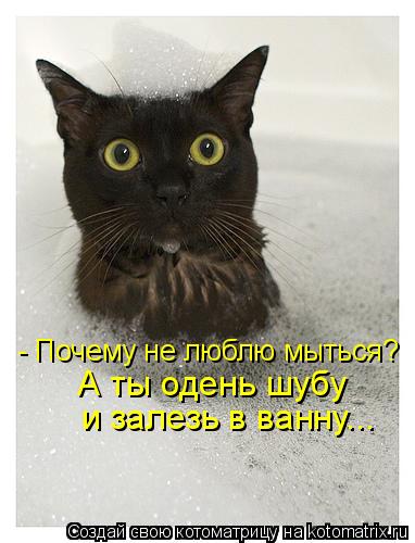 - Почему не люблю мыться? А ты одень шубу и залезь в ванну...... Котоматрица: - Почему не люблю мыться? А ты одень шубу и залезь в ванну...