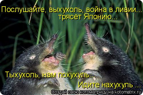 Послушайте, выхухоль, война в ливии... трясёт Японию... Тыхухоль, нам похухуль... Идите нахухуль ...... Котоматрица: Послушайте, выхухоль, война в ливии... трясёт Японию... Тыхухоль, нам похухуль... Идите нахухуль ...