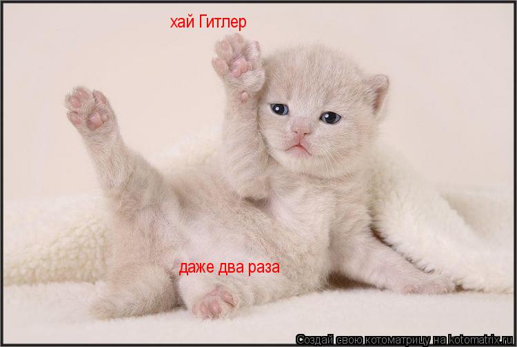Котоматрица: хай Гитлер даже два раза