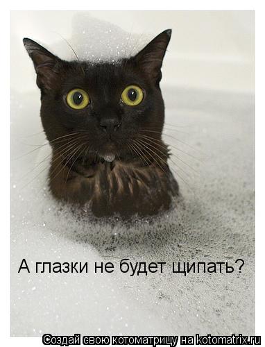 Котоматрица: А глазки не будет щипать?