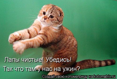 Котоматрица: Лапы чистые! Убедись! Так что там у нас на ужин?