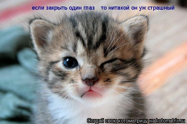 Котоматрица: если закрыть один глаз то нитакой он уж страшный если закрыть один глаз    то нитакой он уж страшный