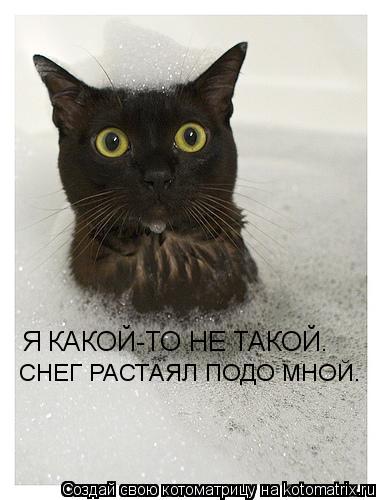 Котоматрица: Я КАКОЙ-ТО НЕ ТАКОЙ. СНЕГ РАСТАЯЛ ПОДО МНОЙ.