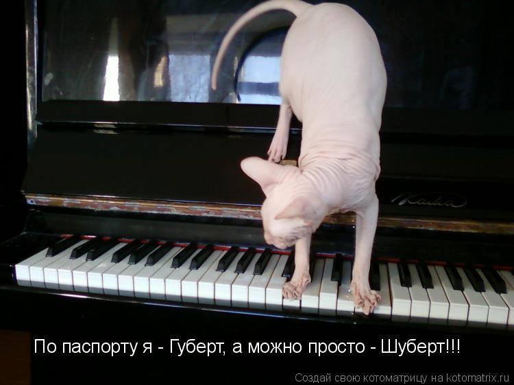 По паспорту я - Губерт, а можно просто - Шуберт!!!... Котоматрица: По паспорту я - Губерт, а можно просто - Шуберт!!!