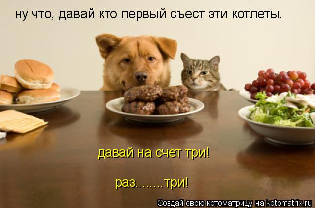 ну что, давай кто первый съест эти котлеты. давай на счет три! раз........три!... Котоматрица: ну что, давай кто первый съест эти котлеты. давай на счет три! раз........три!
