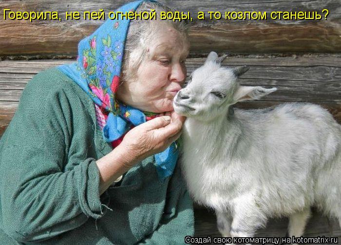 Котоматрица: Говорила, не пей огненой воды, а то козлом станешь?