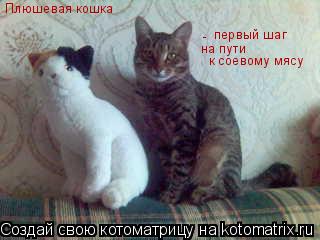Плюшевая кошка - первый шаг на пути к соевому мясу... Котоматрица: Плюшевая кошка - первый шаг на пути к соевому мясу