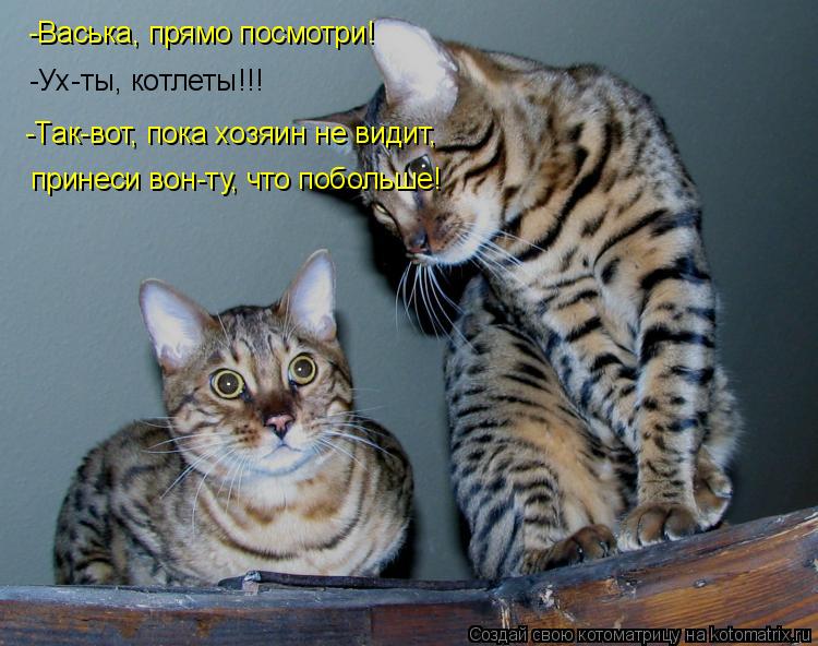 -Васька, прямо посмотри! -Ух-ты, котлеты!!! -Так-вот, пока хозяин не видит, принеси вон-ту, что побо... Котоматрица: -Васька, прямо посмотри! -Ух-ты, котлеты!!! -Так-вот, пока хозяин не видит, принеси вон-ту, что побольше!