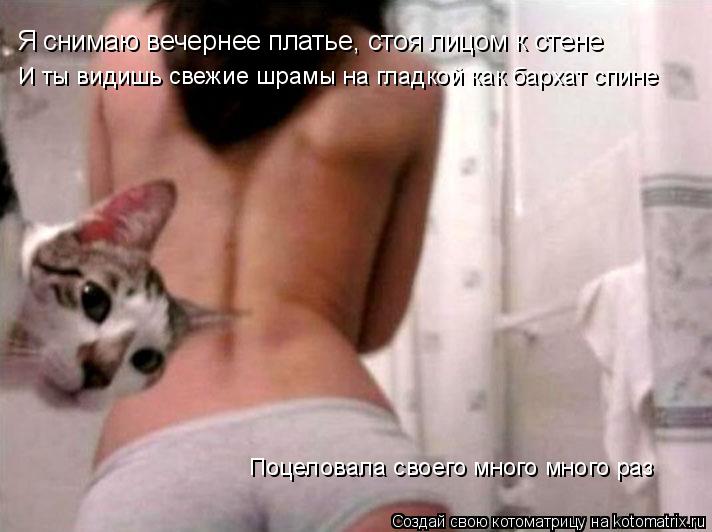 Я снимаю вечернее платье, стоя лицом к стене И ты видишь свежие шрамы на гладкой как бархат спине Поц... Котоматрица: Я снимаю вечернее платье, стоя лицом к стене И ты видишь свежие шрамы на гладкой как бархат спине Поцеловала своего много много раз