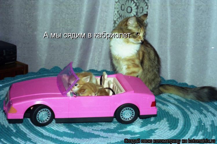 А мы сядим в кабриолет... Котоматрица: А мы сядим в кабриолет