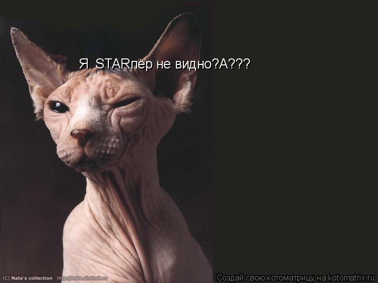 Я STARпёр не видно?А???... Котоматрица: Я STARпёр не видно?А???