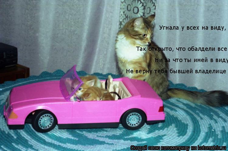 Угнала у всех на виду, Так открыто, что обалдели все Ни за что ты имей в виду Не верну тебя бывшей в... Котоматрица: Угнала у всех на виду, Так открыто, что обалдели все Ни за что ты имей в виду Не верну тебя бывшей владелице