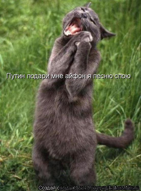 Путин подари мне айфон я песню спою... Котоматрица: Путин подари мне айфон я песню спою