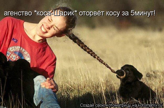 агенство *коса-Шарик* оторвёт косу за 5минут!... Котоматрица: агенство *коса-Шарик* оторвёт косу за 5минут!