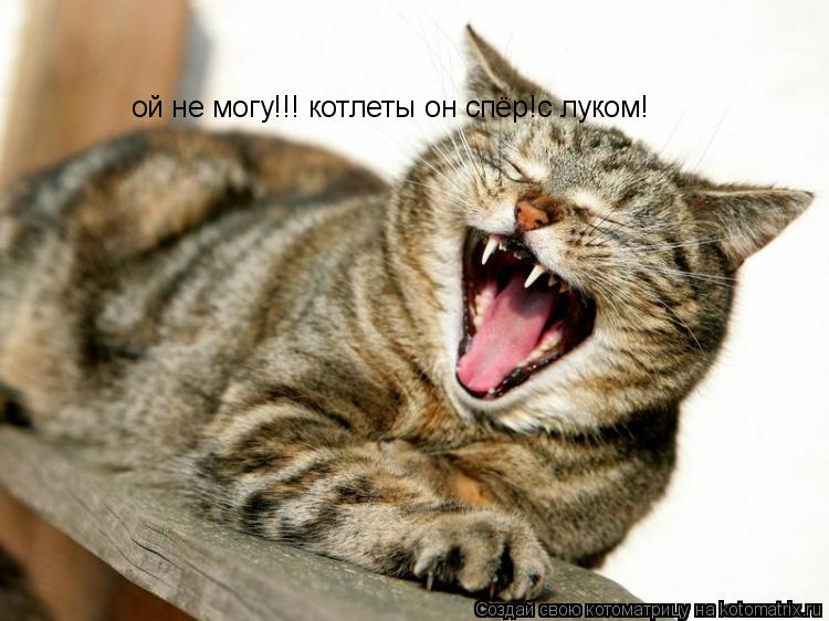 ой не могу!!! котлеты он спёр!с луком!... Котоматрица: ой не могу!!! котлеты он спёр!с луком!