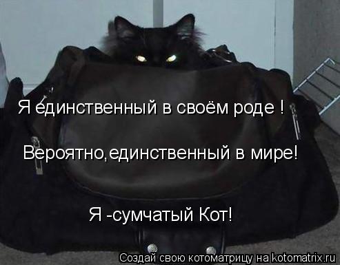 Котоматрица: Я единственный в своём роде ! Я -сумчатый Кот! Вероятно,единственный в мире!