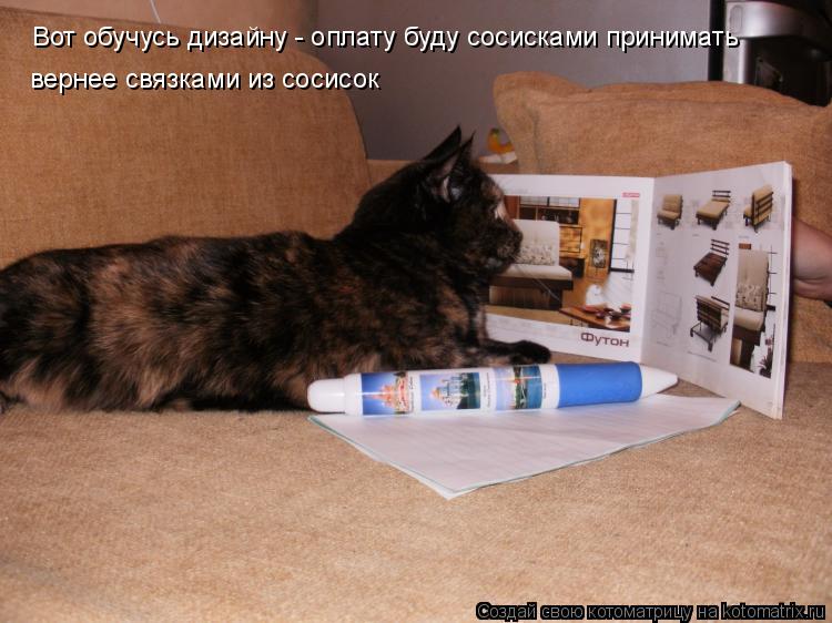 Котоматрица: Вот обучусь дизайну - оплату буду сосисками принимать вернее связками из сосисок