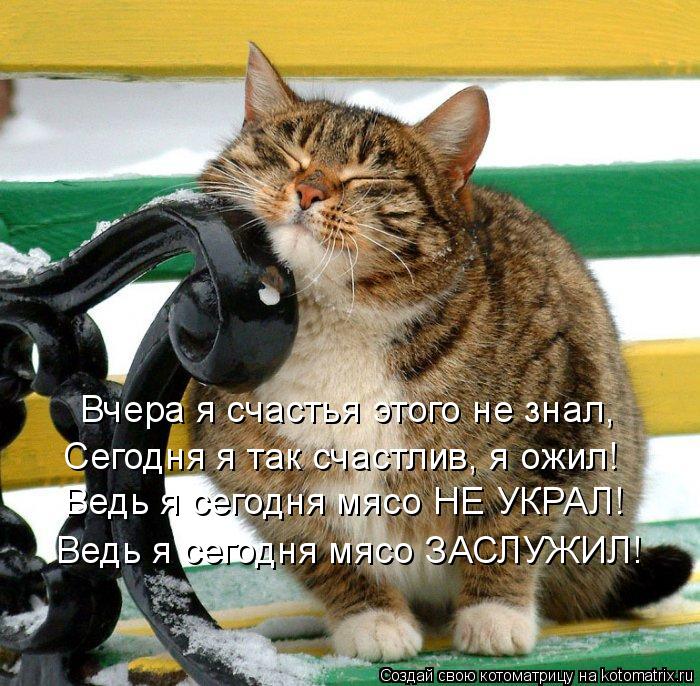 Вчера я счастья этого не знал, Сегодня я так счастлив, я ожил! Ведь я сегодня мясо НЕ УКРАЛ! Ведь я с... Котоматрица: Вчера я счастья этого не знал, Сегодня я так счастлив, я ожил! Ведь я сегодня мясо НЕ УКРАЛ! Ведь я сегодня мясо ЗАСЛУЖИЛ!