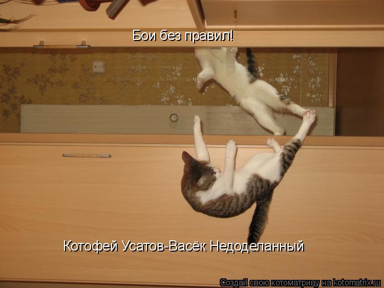 Котоматрица: Бои без правил! Котофей Усатов-Васёк Недоделанный