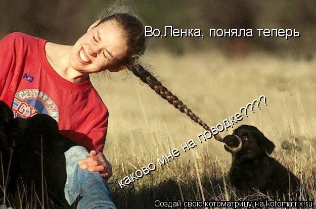 Котоматрица: Во,Ленка, поняла теперь каково мне на поводке????