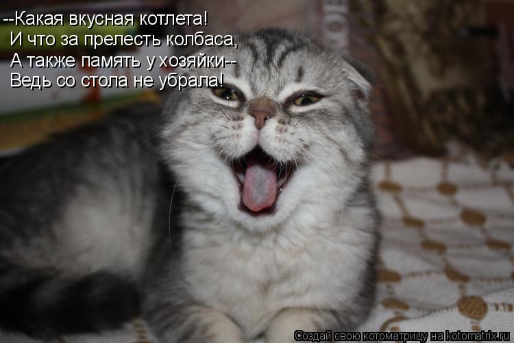 --Какая вкусная котлета! И что за прелесть колбаса, А также память у хозяйки-- Ведь со стола не убрал... Котоматрица: --Какая вкусная котлета! И что за прелесть колбаса, А также память у хозяйки-- Ведь со стола не убрала!