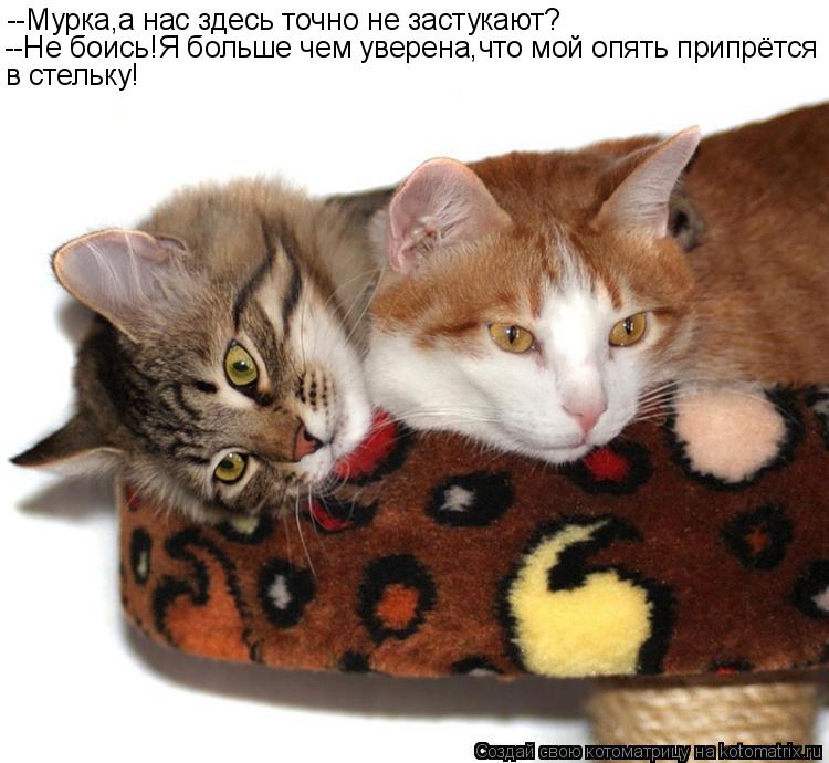 --Мурка,а нас здесь точно не застукают? --Не боись!Я больше чем уверена,что мой опять припрётся в сте... Котоматрица: --Мурка,а нас здесь точно не застукают? --Не боись!Я больше чем уверена,что мой опять припрётся в стельку!