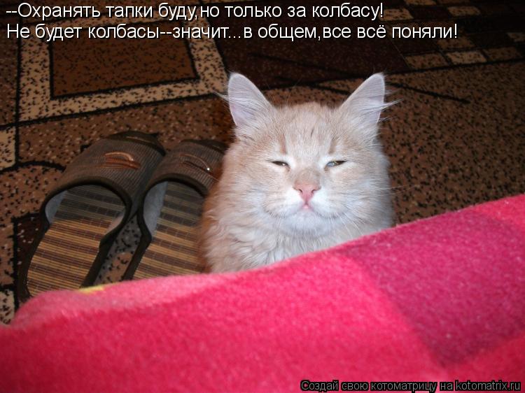 --Охранять тапки буду,но только за колбасу! Не будет колбасы--значит...в общем,все всё поняли!... Котоматрица: --Охранять тапки буду,но только за колбасу! Не будет колбасы--значит...в общем,все всё поняли!