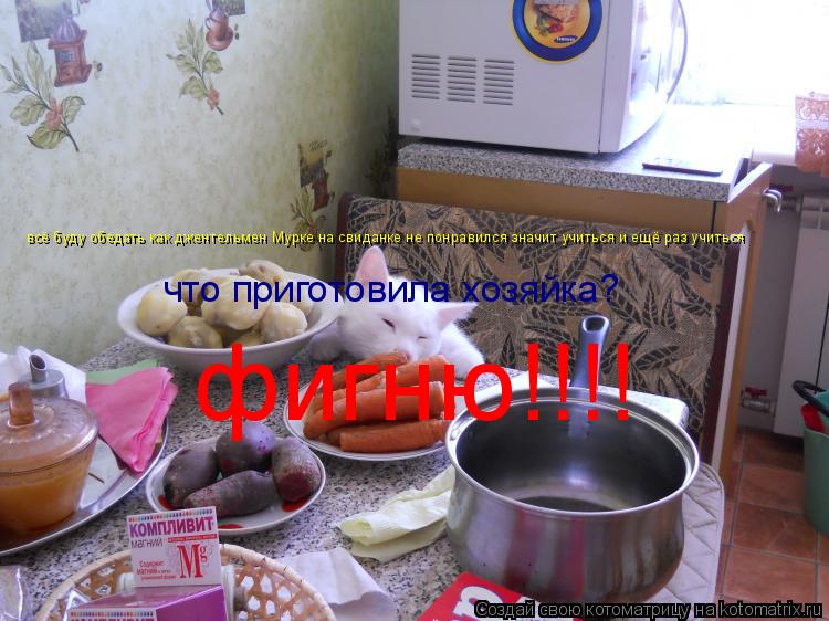 всё буду обедать как джентельмен Мурке на свиданке не понравился значит учиться и ещё раз учиться что... Котоматрица: всё буду обедать как джентельмен Мурке на свиданке не понравился значит учиться и ещё раз учиться что приготовила хозяйка? фигню!!!!