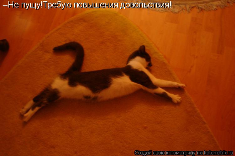 --Не пущу!Требую повышения довольствия!... Котоматрица: --Не пущу!Требую повышения довольствия!