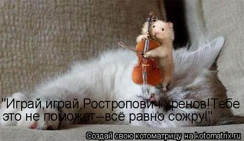 "Играй,играй,Ростропович хренов!Тебе это не поможет--всё равно сожру!"... Котоматрица: "Играй,играй,Ростропович хренов!Тебе это не поможет--всё равно сожру!"