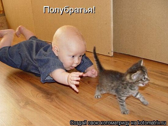 Полубратья!... Котоматрица: Полубратья!