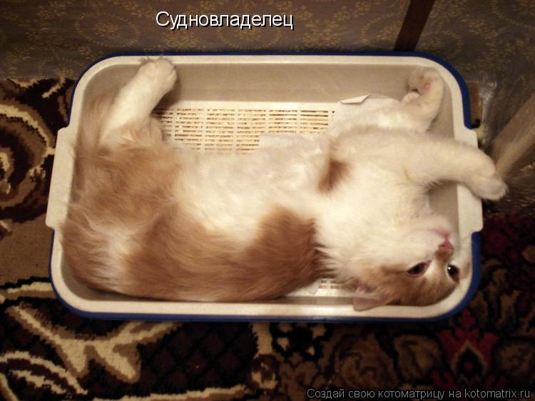 Судновладелец... Котоматрица: Судновладелец