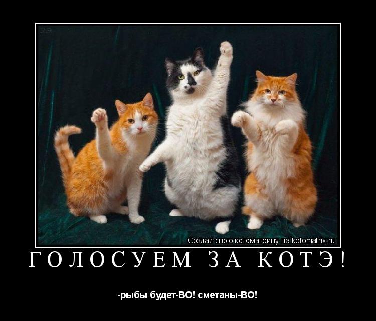 ГОЛОСУЕМ ЗА КОТЭ! -рыбы будет-ВО! сметаны-ВО!... Котоматрица: ГОЛОСУЕМ ЗА КОТЭ! -рыбы будет-ВО! сметаны-ВО!