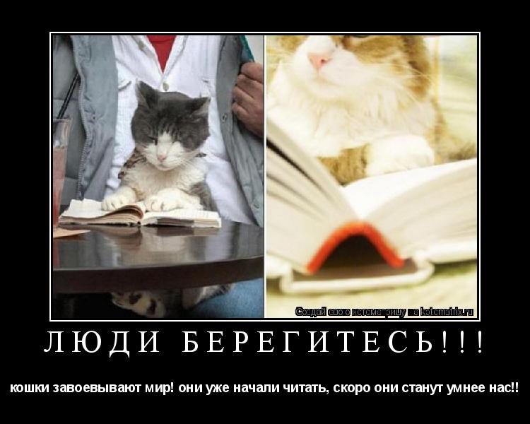 ЛЮДИ БЕРЕГИТЕСЬ!!! кошки завоевывают мир! они уже начали читать, скоро они станут умнее нас!!... Котоматрица: ЛЮДИ БЕРЕГИТЕСЬ!!! кошки завоевывают мир! они уже начали читать, скоро они станут умнее нас!!