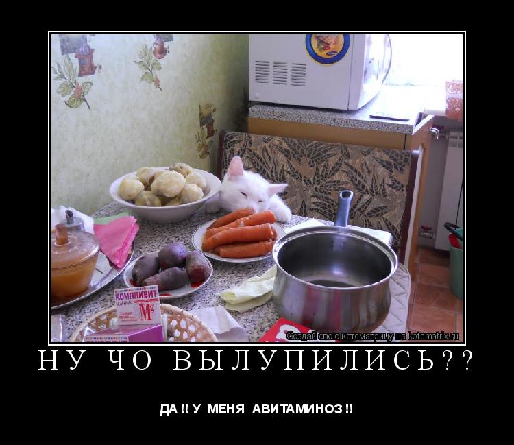 НУ ЧО ВЫЛУПИЛИСЬ?? ДА !! У МЕНЯ АВИТАМИНОЗ !!... Котоматрица: НУ ЧО ВЫЛУПИЛИСЬ?? ДА !! У МЕНЯ АВИТАМИНОЗ !!