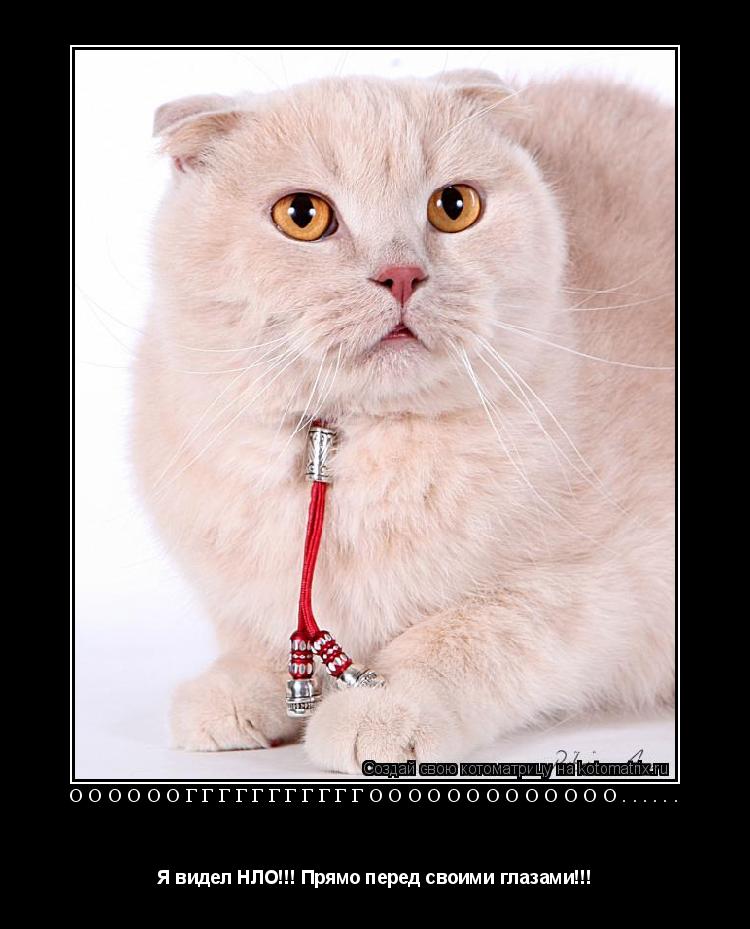 Котоматрица: Оооооогггггггггггооооооооооооо...... Я видел НЛО!!! Прямо перед своими глазами!!!