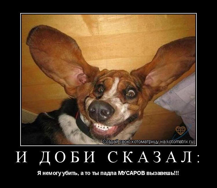 Котоматрица: И Доби сказал: Я немогу убить, а то ты падла МУСАРОВ вызавешь!!!