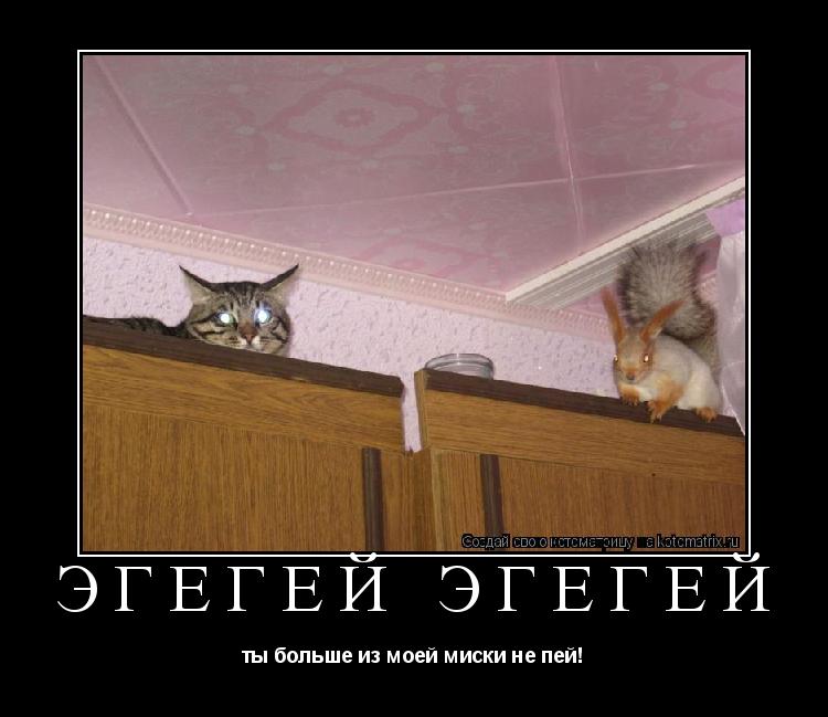 эгегей эгегей ты больше из моей миски не пей!... Котоматрица: эгегей эгегей ты больше из моей миски не пей!