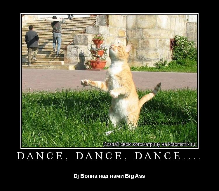Dance, Dance, Dance.... Dj Волна над нами Big Ass... Котоматрица: Dance, Dance, Dance.... Dj Волна над нами Big Ass
