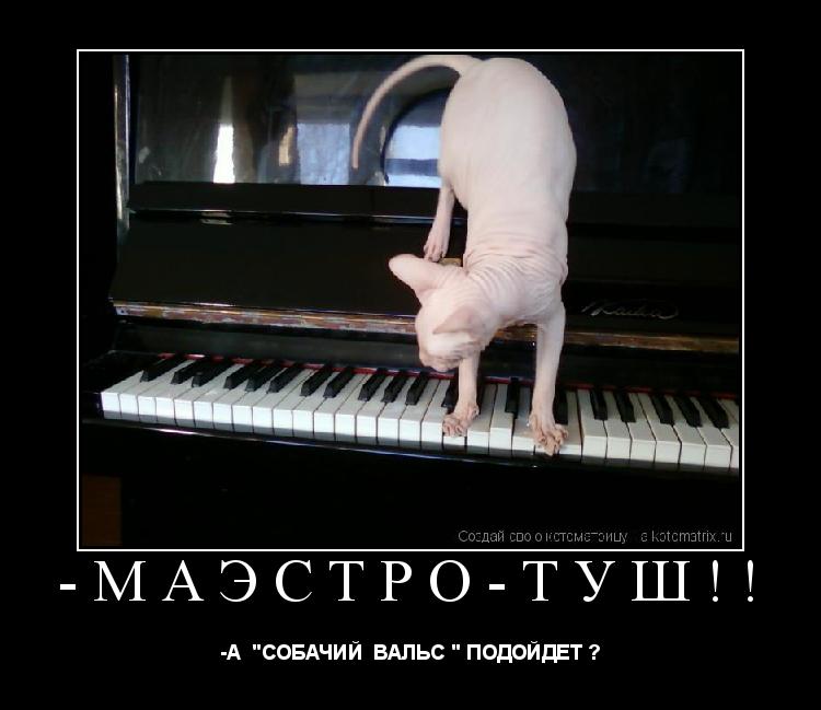 Котоматрица: -МАЭСТРО-ТУШ!! -А  "СОБАЧИЙ  ВАЛЬС " ПОДОЙДЕТ ?