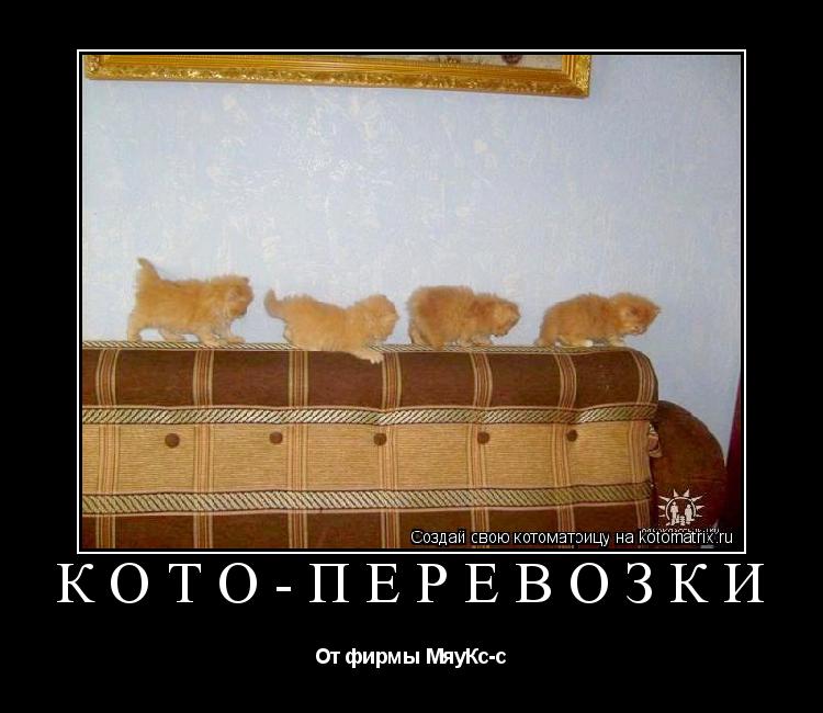 Кото-перевозки От фирмы МяуКс-с... Котоматрица: Кото-перевозки От фирмы МяуКс-с