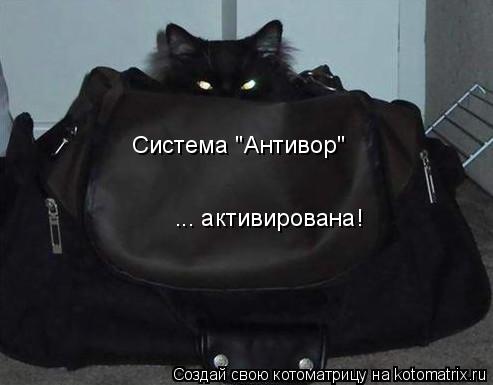 Система "Антивор" ... активирована!... Котоматрица: Система "Антивор" ... активирована!