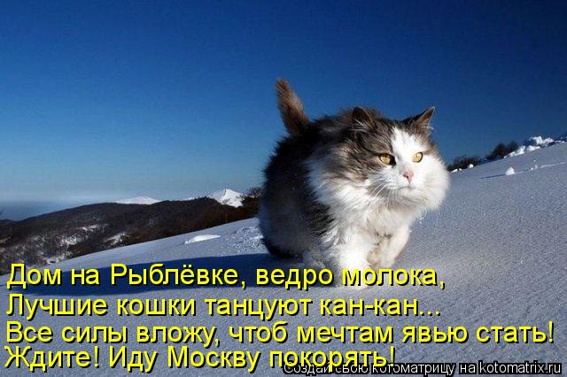 Дом на Рыблёвке, ведро молока, Лучшие кошки танцуют кан-кан... Все силы вложу, чтоб мечтам явью стать... Котоматрица: Дом на Рыблёвке, ведро молока, Лучшие кошки танцуют кан-кан... Все силы вложу, чтоб мечтам явью стать! Ждите! Иду Москву покорять!