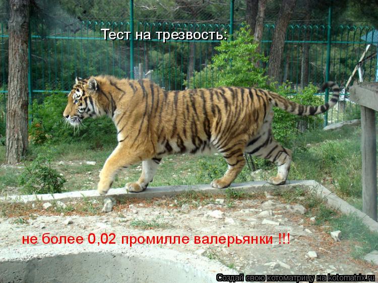 Тест на трезвость: не более 0,02 промилле валерьянки !!!... Котоматрица: Тест на трезвость: не более 0,02 промилле валерьянки !!!